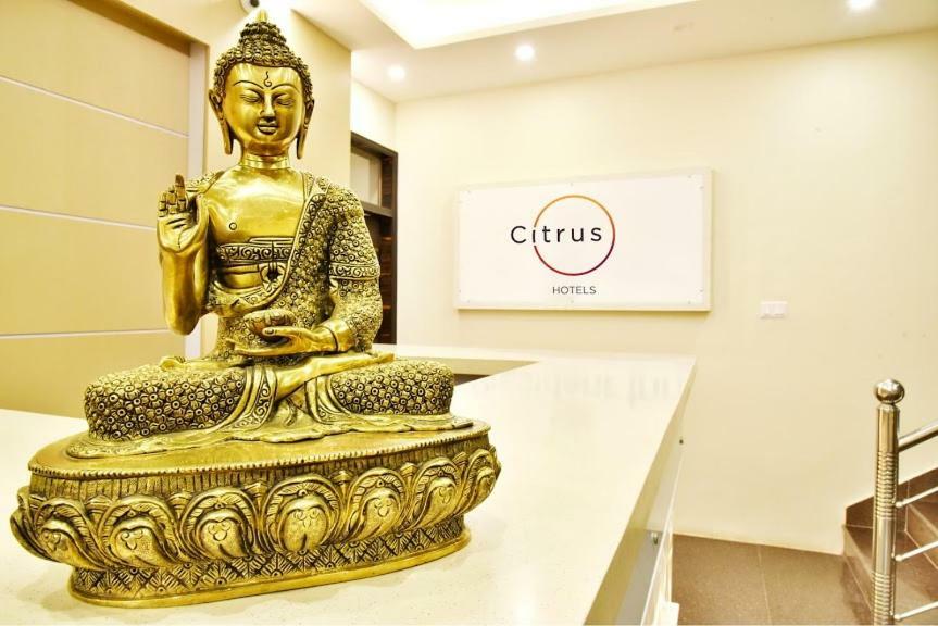 Citrus Classic Mcleodganj 다람샬라 외부 사진